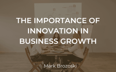 Blog 1 The Importance of Innovation in Business Growth
